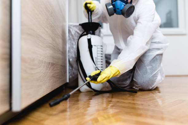 Best Pest Prevention Services  in Clinton, NY