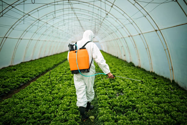 Professional Pest Control in Clinton, NY