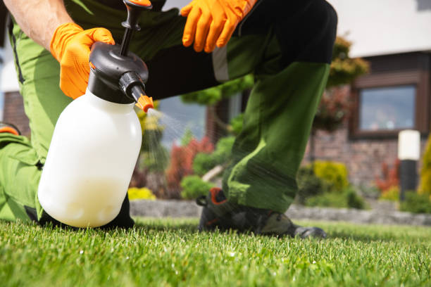 Pest Control for Restaurants in Clinton, NY