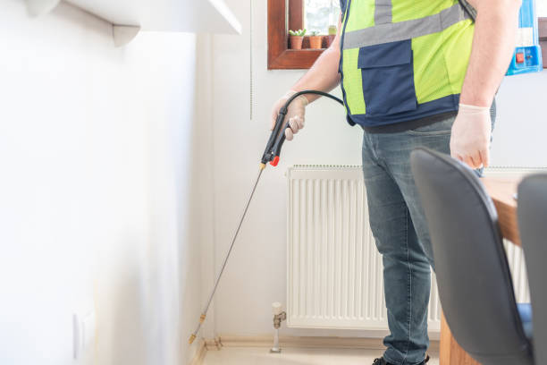 Flea Control Services in Clinton, NY