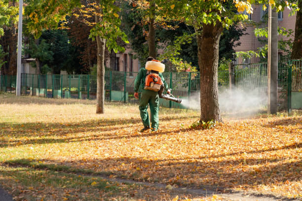 Best Pest Control Near Me in Clinton, NY