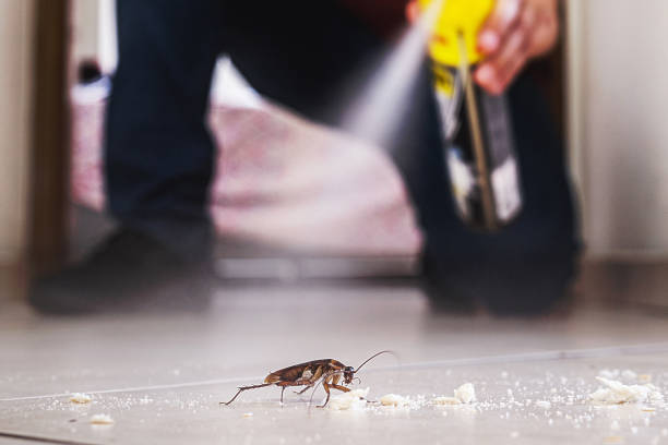 Best Pest Prevention Services  in Clinton, NY
