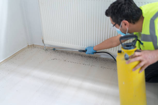 Best Exterminator Services  in Clinton, NY