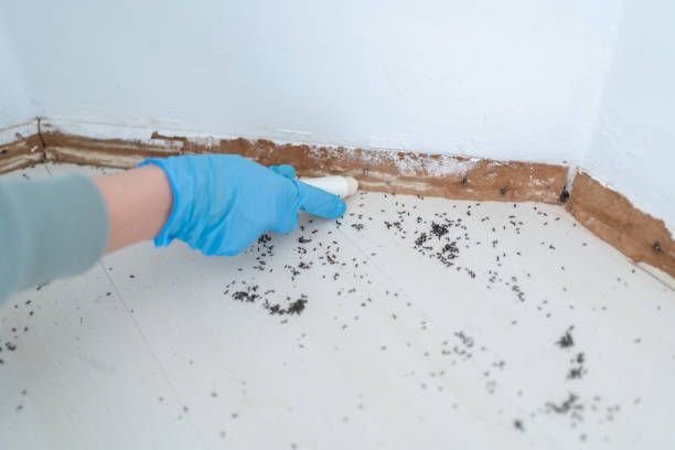 Clinton, NY Pest Control Company