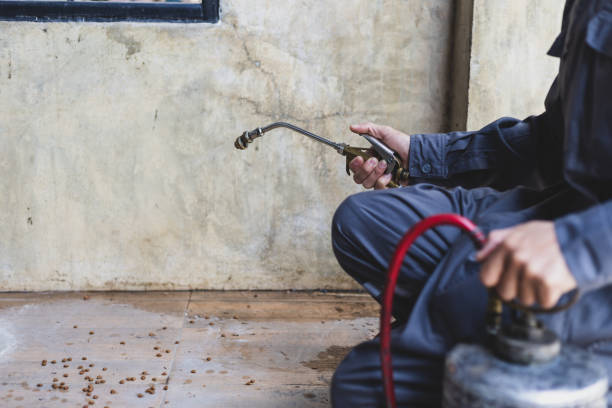 Best Pest Removal Services  in Clinton, NY